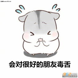 仓鼠好累好麻烦表情包下载乐游网游戏下载