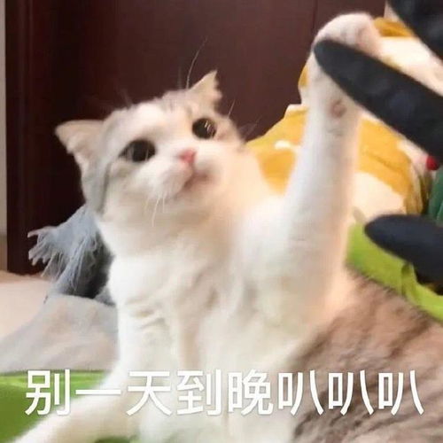 幽默笑话今天,老婆给我炫耀她上大学时多么受男生欢迎
