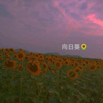 林知晚可爱唯美小清新自然背景风景静物头像我要个性网