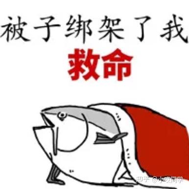 专升本会很难吗