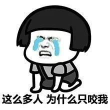 表情包被蚊子咬过吗