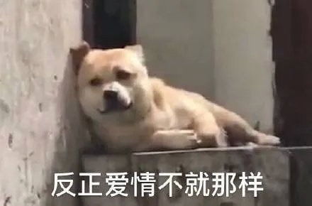 刷管常见问题有问题随时留言...