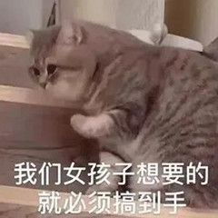 哔哩哔哩专栏