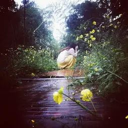 雨天的竹林微信头像