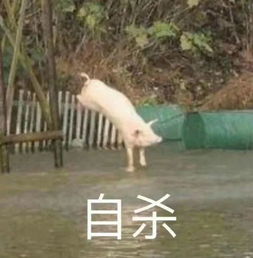 快看你的相册暴露了你的情感