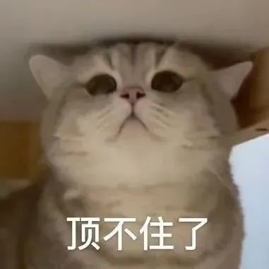 沙雕表情包和姐妹速聊对策