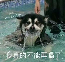 我一周瘦10斤的秘诀,都在吃掉的肉里