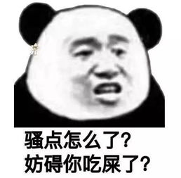 斗图表情包做猪呢最主要的是开心