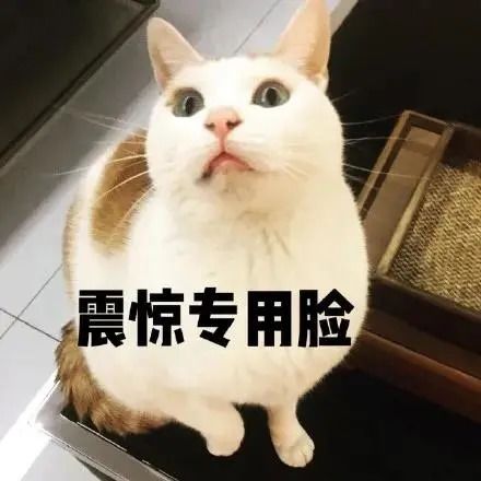 网红生酮减肥神话破灭想减肥,你的脂肪细胞答应吗