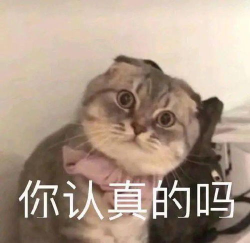 遂平仁安医院子宫切除后下体又掉出一块肉,这是啥