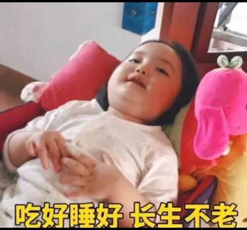 看了明星的购物车,更不知道要买什么了