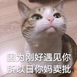 斗图表情包发表情表情包大全微信表情包qq表情包fabiaoqing.com