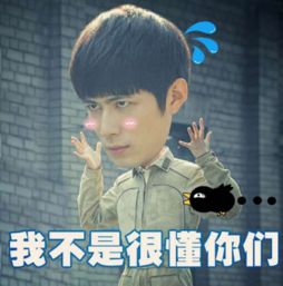 陈学冬大头表情包大全