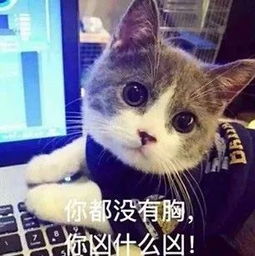 我就是一个说到做到的气质小编