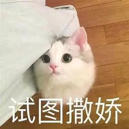 初到多伦多必去的中餐厅,你都知道吗