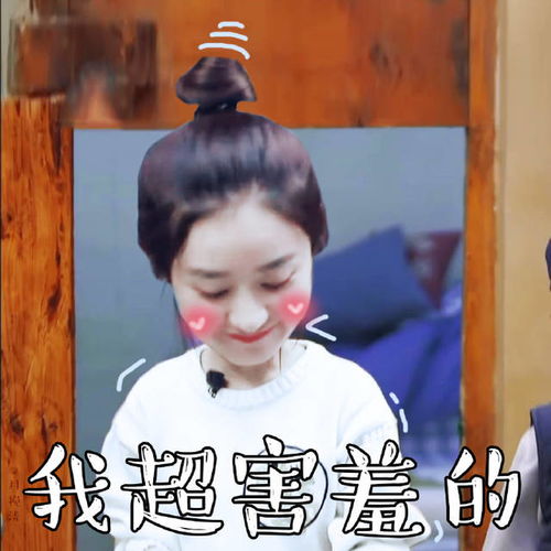 全宇宙第一可爱赵丽颖向往的生活表情包分享