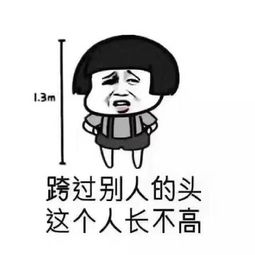 套路表情包,教你怎样玩套路玩心机