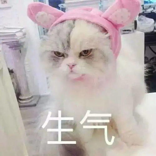 不患寡而患不均,为何只给2020级博士涨工资