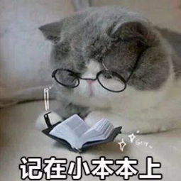 这些很火很萌的表情包,你还没有吧