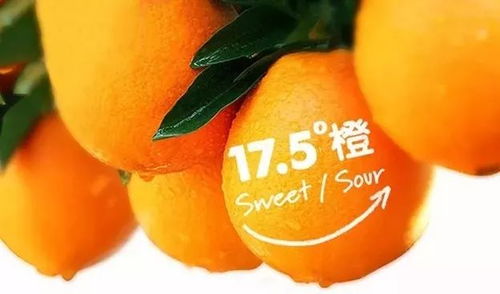 活力青春温暖德百超市这期精彩纷橙
