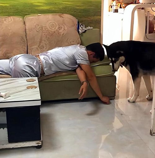 老人摔一跤就骨折了医生60岁后,2种肉,一定要舍得吃