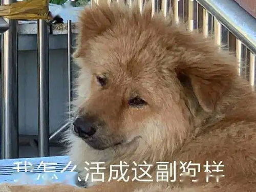 这一别,就是一辈子...