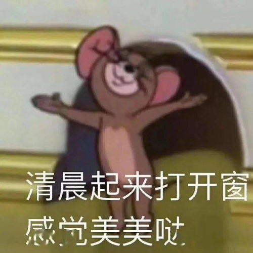 冬天快快来汕头也想挤入冬天的队伍