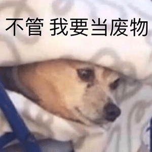 抖音最火表情包抖音表情包沙雕大全腾讯新闻