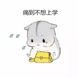 不着急,学长学姐替你爆料
