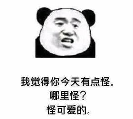 杀伤力超强的撩妹表情包,往死里疯狂暗示,分分钟表白成功