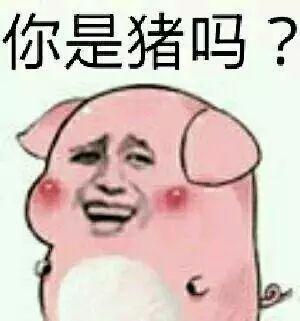 哔哩哔哩专栏