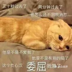 电话,地址,价格,营业时间
