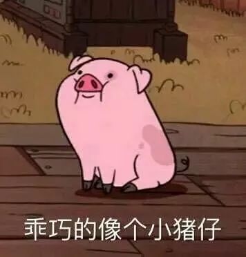 北川好吃嘴赶快来吃火锅不光打折还送礼品啦