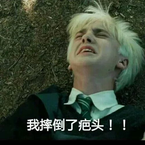 表情包三次魔性斗图系列含动图有趣in堆糖,美好生活研究所
