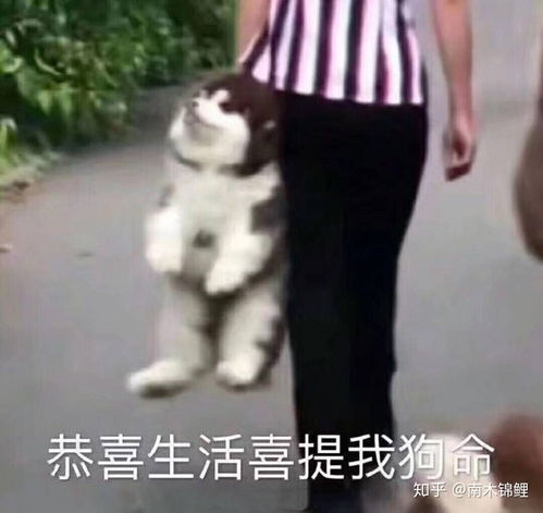 为什么网上的人工资都这么高