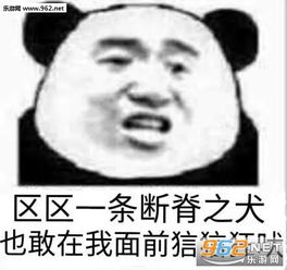 你长得这么帅我可以叫你旺财吗表情包熊孩子挺会玩啊表情包下载乐游网游戏下载