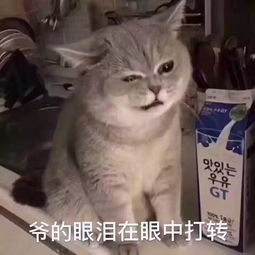 是谁将黑手伸向了我的小黄鸭