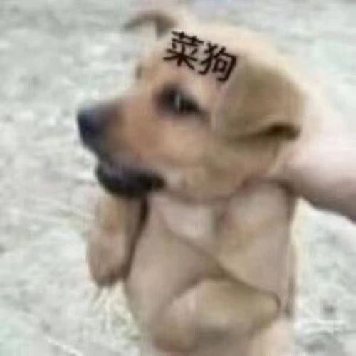 发现男友偷带妹打游戏