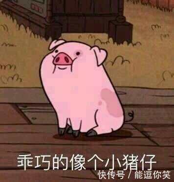 每日神段让我来帮你们忘掉不开心