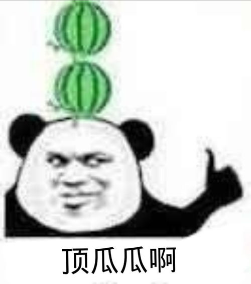 沙雕表情包我一点都不记仇