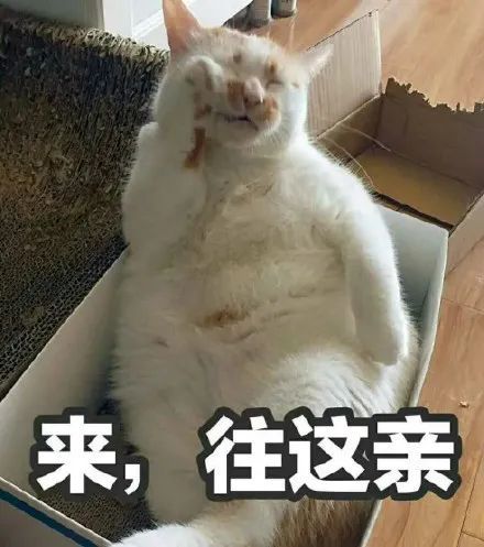 潮图表情包心宽体胖,脸大如碗