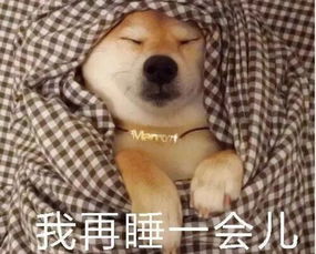 涨知识周一冷知识放送四
