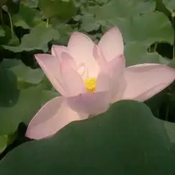 你已被群主移出群聊