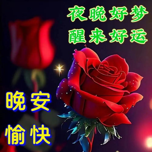 2024年6月20日周四早安图片祝福语,试着不为明天而烦恼,不为昨天而叹息,只为今天更美好周四早安周四早安如花快乐早上好清晨祝福语手机网易网