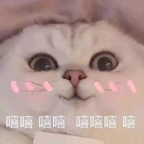 嗨有你的信