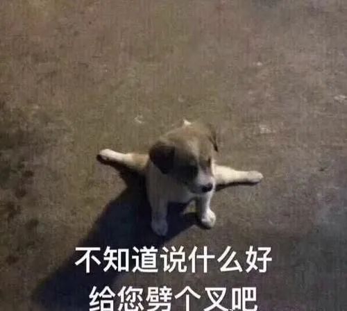 上海名媛群遭群嘲傻子越来越少,骗子越来越傻