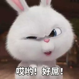 呆萌头像