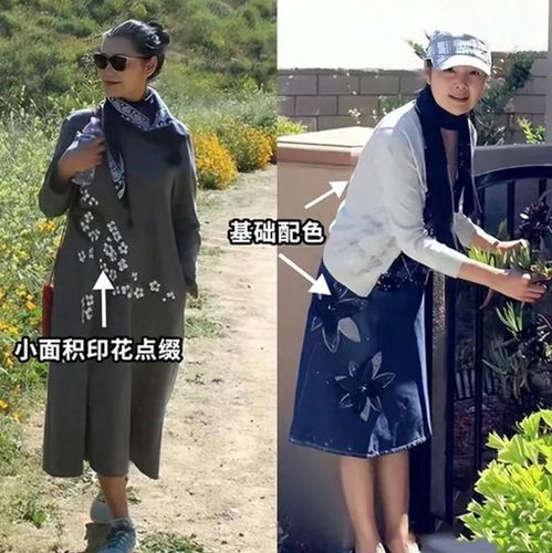 大妈头像图片花塞进