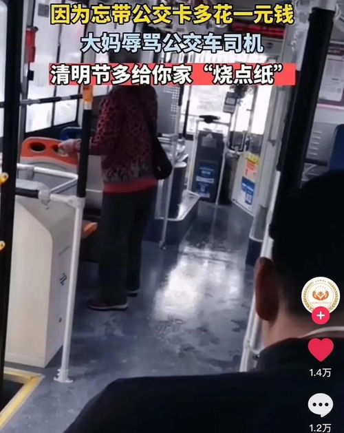 辽宁大妈忘带公交卡,要多花1元钱辱骂司机给你家人买纸钱烧