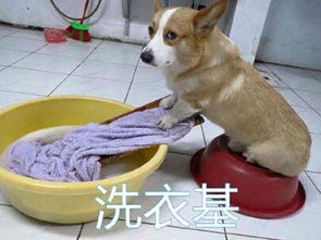 攻略和众测服饰鞋帽评测与晒单